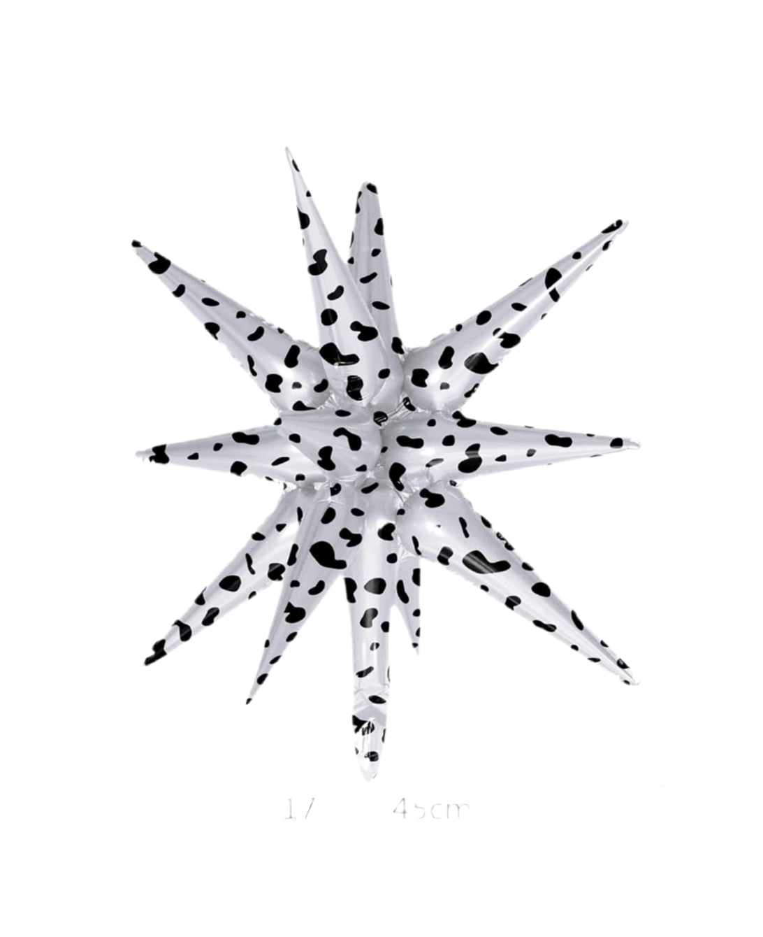 22" Magic Star Cow Print